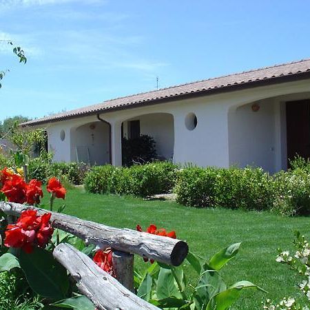 Agriturismo Mulinu Betzu San Vero Milis Kültér fotó